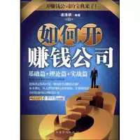 音像如何开赚钱公司:基础篇+理论篇+赚钱篇凌洛妍
