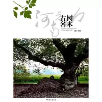 音像河南光山古树名木(1-1)王淮 主编