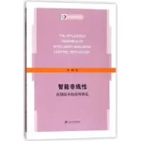 音像智能非线控制技术的应用研究韩霞著
