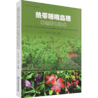 音像热带珊瑚岛礁果蔬栽培技术陈红锋,易绮斐