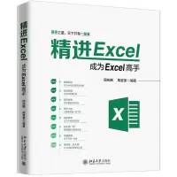 音像精进EXCEL:成为EXCEL高手周庆麟,周奎奎