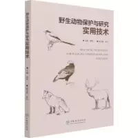 音像野生动物保护与研究实用技术周伟
