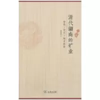音像清代湖南的矿业:分布·变迁·地方社会林荣琴著