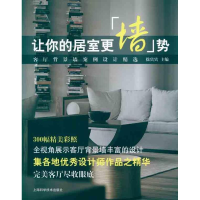 音像让你的居室更墙势:客厅背景墙案例设计精选徐宾宾 主编