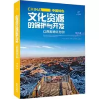 音像中国特文化的保护与开发(以西部地区为例)唐剑