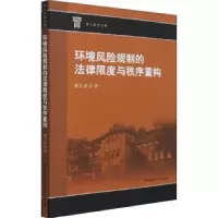 音像环境风险规制的法律限度与秩序重构/重大法学文库董正爱