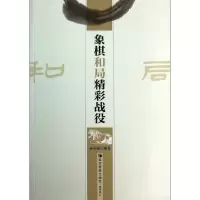音像象棋和局精彩战役孙尔康