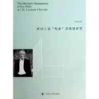 音像库切小说他者多维度研究石云龙