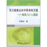 音像化石能源走向零排放的关键:制氢与CO2捕捉乔春珍