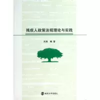 音像残疾人政策规理与实践吴填
