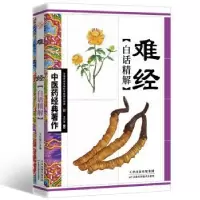 音像难经白话精解王竹星主编