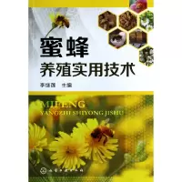 音像蜜蜂养殖实用技术李继莲