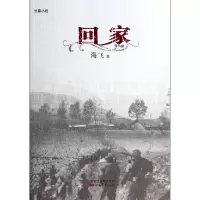 音像回家海飞
