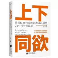 音像上下同欲(将团队合力发挥到淋漓尽致的28个领导力法则)南勇