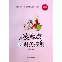 音像零起点学财务控制周龙腾
