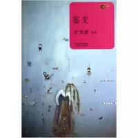 音像窑变计文君