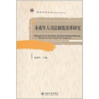 音像未成年人司法制度改革研究赵国玲