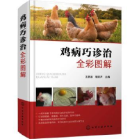 音像鸡病巧诊治全彩图解王贵波,谢家声