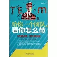 音像给你一个团队看你怎么带(团队需要一个强大的)董智轩