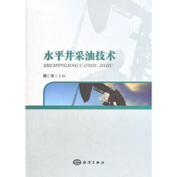 音像水平井采油技术陈仁保主编