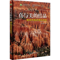 音像真与美的结晶 雅俗共赏的赏石文化雷敬敷