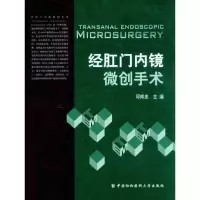 音像经肛门内镜微创手术邱辉忠