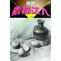音像静物素描达人/美术技法大课堂林栋