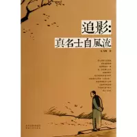 音像追影--真名士自风流史飞翔