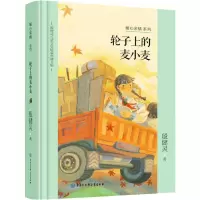 音像轮子上的麦小麦殷健灵