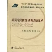 音像磁悬浮惯动量轮技术房建成,孙津济,樊亚洪著