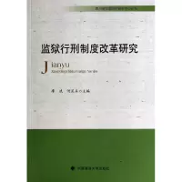 音像监狱行刑制度改革研究廖斌//何显兵