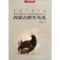 音像内蒙古野生鸟类聂延秋
