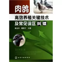 音像肉鸽高效养殖关键技术及常见误区纠错姜金庆//魏刚才