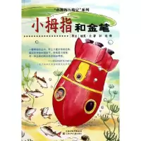 音像小拇指和金笔(荷兰)迪克?兰