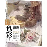 音像色彩静物全教程李家友 编