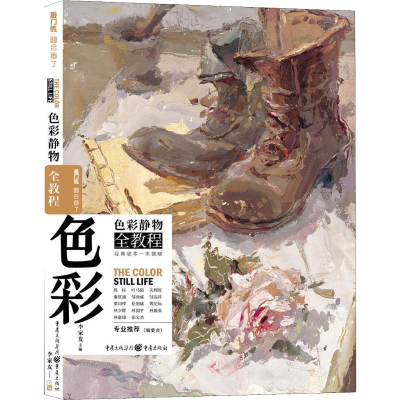 音像色彩静物全教程李家友 编