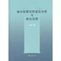音像城市犯罪空间盲区分析与综合治理王发曾主编