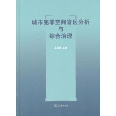 音像城市犯罪空间盲区分析与综合治理王发曾主编