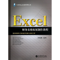 音像Excel财务表格拓展制作教程/行者风云企业管理丛书孙晓鹏
