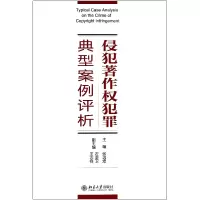 音像侵犯著作权犯罪典型案例评析张远煌