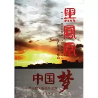 音像黑凤凰关仁山//王松