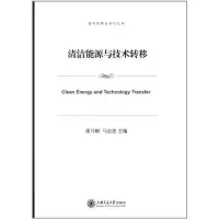 音像清洁能源与技术转移张乃根