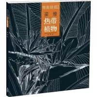 音像唯美线描精选 梁维 热带植物梁维 绘