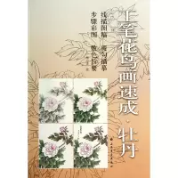音像工笔花鸟画速成(牡丹)绘画:郑方雯