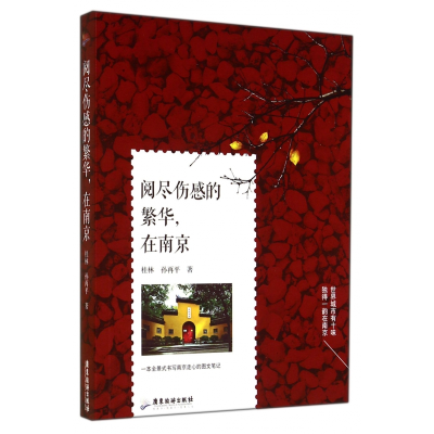音像阅尽伤感的繁华在南京桂林//孙再平