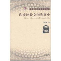 音像印度比较文学发展尹锡南