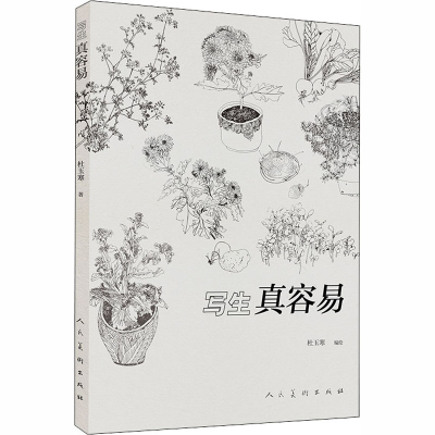 音像写生真容易杜玉寒