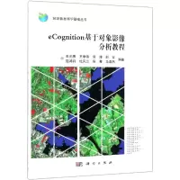 音像ECOGNITION基于对象影像分析教程关元秀 等