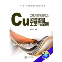 音像闪速炼铜工艺与控制杨国才 编著