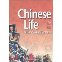 音像我们中国人2011华文